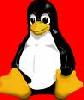 LINUX OKTAT�S
