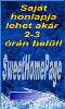 Saj�t honlap egyszer�en, olcs�n
