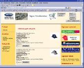 Ingyen web�ruh�z, t�rhely, honlap